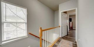 42461 ROCKROSE Square Gallery 21