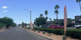 Palms on 2nd Gallery 42