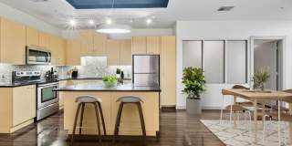 The Continental Gallery 1