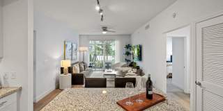 Town Treeline Gallery 21