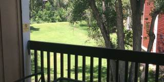Charming 1-Bedroom Condo with Great Amenities Gallery 10