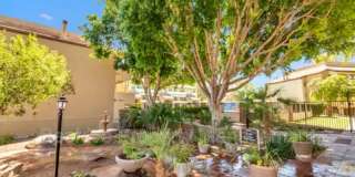 1331 W Baseline Rd Gallery 25