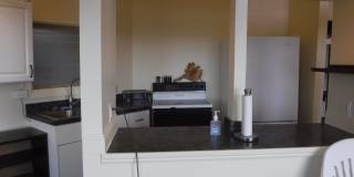 Kahala Hts Cottage 2 / 1 / garage Gallery 8