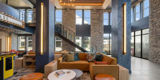 NOVEL Morrisville Gallery 36