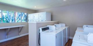 Elán Avante Apartment Homes Gallery 20