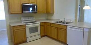 4 Bedroom 2 Bath in Summerfield Freshly painted, New Sod, Tile in all bedrooms! Gallery 7