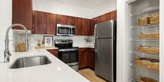 Vinoy St Johns Gallery 29