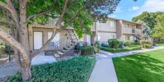 Lincoln Place Gallery 13