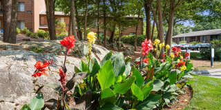 Stone Run East Gallery 25