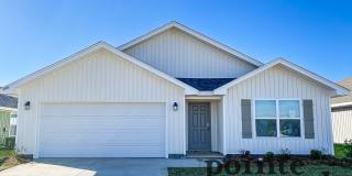 10988 Animal Kingdom Way Gallery 1