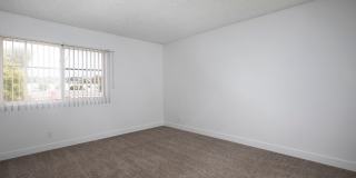 The Pacific at Mission Bay Gallery 70