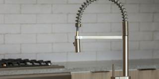 The Merian Gallery 83