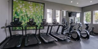 AMLI at Seven Bridges Gallery 35