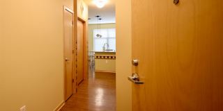 Settlement Place Gallery 55