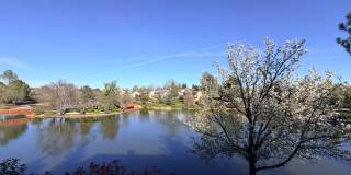 Beautiful Lakefront Home in the Vineyard! 55+ community Gallery 22