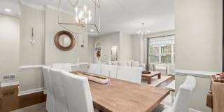 2539 Ellijay Drive Gallery 5