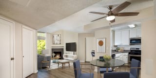 Warner Pointe Gallery 2