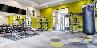 San Remo Gallery 13