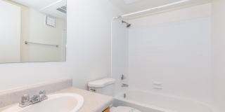 Metro Tucson Gallery 16