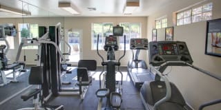 Windridge Gallery 22