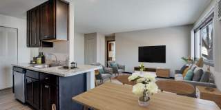 Diamond Eight Terrace Gallery 2