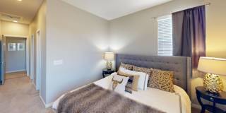 Black Feather Gallery 8
