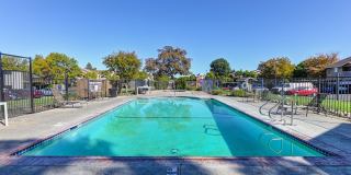Hastings Park Gallery 11