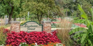 1520 E Swan Circle Gallery 14