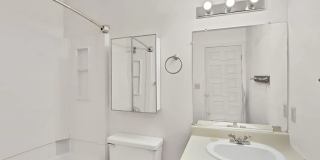 The Double Tree Apartments, offer comfortable and affordable living just minutes from the CMU campus The Double Tree Apartments, offer comfortable and affordable living just minutes from the CMU campus Gallery 19