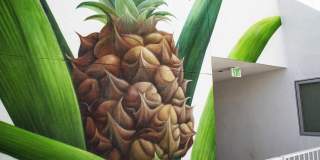 Junction 4121 Gallery 4