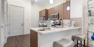 Ora Flagler Village Gallery 37