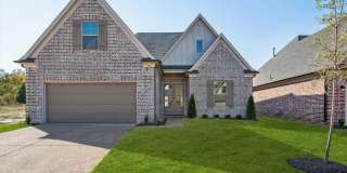 90 DOWNY BIRCH Gallery 1