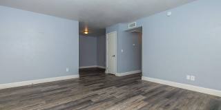 Bellevue Towers Gallery 79