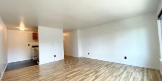 Escolier Gallery 24
