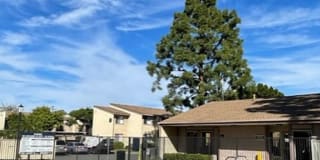 Elevate Apartment Homes Gallery 21