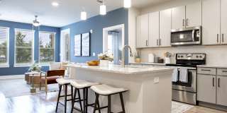 The Kingson Gallery 24