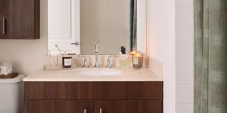 The Metropolitan at 40 Park Gallery 24