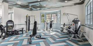 ReNew Marina Shores Gallery 15