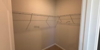 538 Wolf Trace Gallery 16