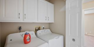 Somerset Oak Gallery 12