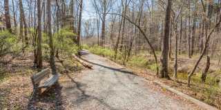 Beautiful 2 bedroom 2.5 bath Townhome in Carrboro Gallery 21