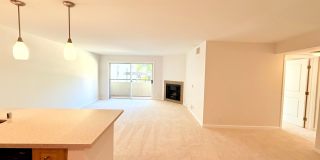 Fantastic Spacious 2 bed 2 bath condo in prime Sherman Oaks - Studio City with Pool and Gym! Gallery 7