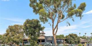 33782 Robles Drive Gallery 43