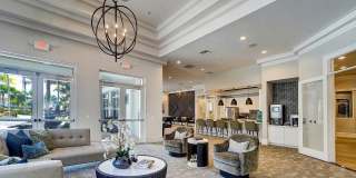 Solero at Plantation Gallery 12
