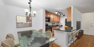1339 N Dearborn Street Gallery 4