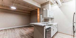 The Globe Gallery 17