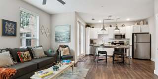 Delaneaux Gallery 17