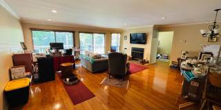 88 The Glen Gallery 3