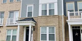 17255 HERRING GULL Lane Gallery 1