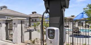 Zora Encanto Gallery 30